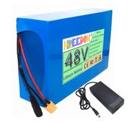 FREEDOH Batterie au Lithium 48 V Rechargeable 10 Ah-40 Ah avec Chargeur