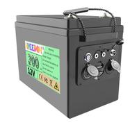 FREEDOH Batterie Lithium-Fer-Phosphate 12 V 200 Ah Haute capacité pour Moteur 0-2400 W avec Sortie USB/Type-C/CC
