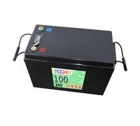 FREEDOH Batterie Lithium-Fer-Phosphate 24 V Amovible 100 Ah avec écran LCD et BMS pour Moteur de voiturette de Golf 0-2400 W