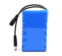 FREEDOH Batterie Lithium-ION Rechargeable 12 V (7 200 mAh, 8 000 mAh, 10 000 mAh) pour la Plupart des appareils 12 V : caméras sans Fil, caméscopes, Outils électriques, etc.,12v10000mah