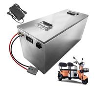 FREEDOH Batterie pour Tricycle électrique 48 V, 60 V et 72 V au Lithium Fer Phosphate (30 Ah, 50 Ah et 70 Ah) avec Chargeur pour Moteur de 50 à 4 200 W.,48v50ah