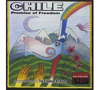 Alternative Apparel T-shirt Freedom Archives – Chile: Promise of Freedom – Import