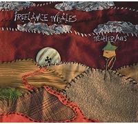 Freelance Whales - Weathervanes