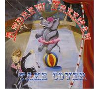 Freeman, Andrew - Take Cover