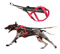 Freemotion Harness 5.0 - Harnais pour Chien