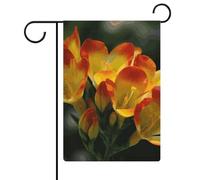 Freesia - Magnifique drapeau de jardin avec plantes et fleurs - 30,5 x 45,7 cm - Double face - Drapeau extérieur d'été - Drapeau floral de bienvenue - Décorations de jardin saisonnières
