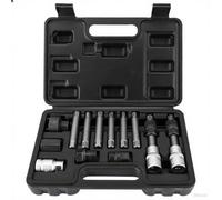 FreeTec 13pcs Coffret Douille Poulie Alternateur, 1/2" Outil Poulie Alternateur, Clé Poulie Roue Libre Alternateur avec 33 Dents, Extracteur Demontage Alternateur pour VW Audi VAG Fiat (Noir)