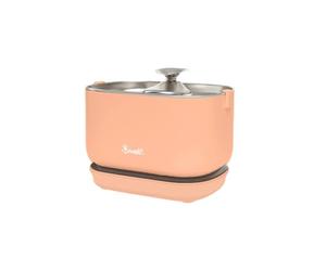 French Bandit - Fontaine à Eau sans Fil pour Chat 2,5L - Autonomie 30 Jours - Filtration 4 étapes - Détecteur de Mouvement Intelligent - Ultra silencieuse inférieure 30dB - Acier Inoxydable - Pêche