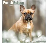 French Bulldog 2027 Calendar | Square Wall Calendar | Dog Breed Gift | Plastic Free Packaging | by Avonside Publishing