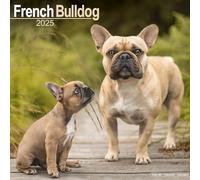 French Bulldog Calendar 2025 Square Dog Breed Wall Calendar - 16 Month