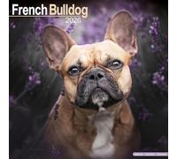 French Bulldog Calendar 2026 Square Dog Breed Wall Calendar - 16 Month
