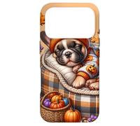French Bulldog Halloween Fall Pumpkin for Frenchie Grandma Coque pour iPhone 17 Pro