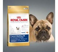 French bulldog junior adult 3kg