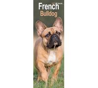 French Bulldog Slim