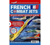 French Combat Jets in Profile