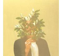 French Kiwi Juice