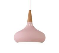 French Minimalist Style Chandelier, E27 Screw Ceiling Lighting Fixtures, Creative Personality Color Metal Hanging Lamp, Clothing Store Coffee House Studio Decoration Pendant Light(Pink,28cm)