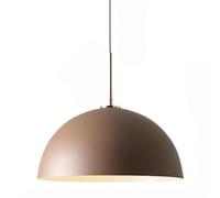 French Minimalist Style Creative Semi-Circular Iron Art Hanging Lamp, E27 Screw Single-Head Chandelier, Decorative Lighting for Study Room, Restaurant, Studio(Brown)