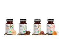 French Mush - Pack 4 Champignons Bio en Gélules - Lion’s Mane, Chaga, Reishi & Cordyceps - 224 Gélules Vegan - Extraits Testés en Laboratoire