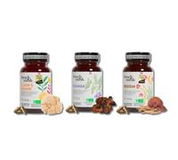 French Mush - Pack Immunité & Stress - Lion’s Mane, Chaga & Reishi Bio - 168 Gélules Vegan - Extraits de Champignons - Testés en Laboratoire