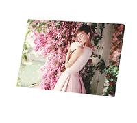 French Unicorn Tableau mural Impression sur Toile Photo de Star Célébrité Audrey Hepburn Actrice Vieux Cinéma Original 2 (45 cm x 30 cm)