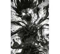 Frenchiart FixArt Poster Métallique Gon Freecss - Hunter x Hunter 3 - 30 x 42 cm - Affiche Collector avec Aimant Mural - Décoration Manga/Anime