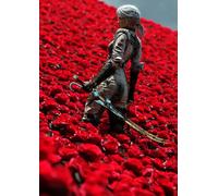 Frenchiart Fixart Poster Métallique Maelle 7, 30cm x 42cm, avec Aimant Mural Fourni Clair Obscur : Expédition 33