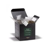 Frères Dammann | Soirée Thé Vert à Versailles | Thé Vert Bergamote, Kiwi, Pêche - 25 Filtres (50 Gr) | Filtres pour sachets de thé | Mix Thé Vert Orange et Fleurs Violettes