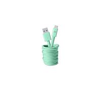 Fresh 'n Rebel Fabriq Cable - Câble USB - USB type A (M) pour 24 pin USB-C (M) - 3 m - menthe poivrée