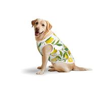 Fresh Tropical Lemons T-shirt décontracté sans manches pour animal de compagnie, gilet pour chien, imprimé en coton doux pour animaux de compagnie, T-shirt respirant pour grand chien (3xl-5XL)