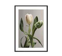 Fresh Vert Tulips Poster Poster Botanical Toile Peinture Photographie Art Print Flowers Fleurs Picture pour salon Accueil Décor (Color : B, Size : 21x30cm no frame)