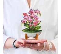 Freshcut Paper Cartes pop-up 3D, mini orchidée oasis, 15,2 cm, mini bouquet de fleurs éternelles, cartes de vœux, carte d'anniversaire, cadeau de rétablissement, carte vierge et enveloppe