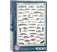Eurographics Puzzle Freshwater Fish – 1000 pièces