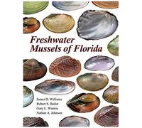 Freshwater Mussels Of Florida
