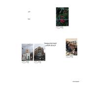 Fresque de Tripoli - Vincent Genet - Trans Photographic Press - relié - Beau livre