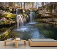 Fresque murale artistique représentant une cascade à plusieurs niveaux dans les bois, avec une végétation luxuriante, idéale pour décorer une salle à manger ou un bureau paisible. 400x280cm