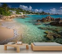 Fresque murale luxueuse représentant une crique côtière, un lagon turquoise et un rivage rocheux, idéale pour une ambiance de chambre et de salon. 350x250cm (Non autocollant)