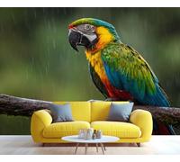 Fresque murale représentant un ara coloré par temps de pluie, art mural vibrant représentant un oiseau tropical, décoration exotique pour 100x100cm (Non autocollant)