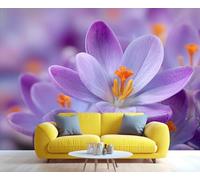 Fresque murale représentant un crocus violet en gros plan, décoration murale florale printanière, touche de fraîcheur pour le salon ou la chambre. 100x100cm (Non autocollant)