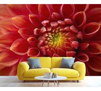 Fresque murale représentant un dahlia rouge éclatant en gros plan, décoration murale florale complexe, accent élégant pour le salon ou la chambre à coucher 400x280cm (Non autocollant)