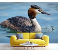 Fresque murale représentant un Grèbe huppé dans l'eau, œuvre d'art aviaire originale, décoration inspirée par la nature pour le salon ou la chambre. 100x100cm (Non autocollant)