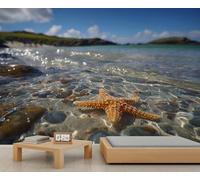 Fresque murale représentant une mare côtière, des étoiles de mer et une plage de galets, idéale pour une ambiance de salle de bain et de salon. 150x105cm (Non autocollant)