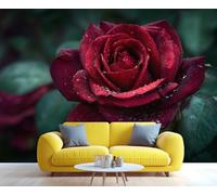 Fresque murale représentant une rose rouge foncé en gros plan, décoration murale florale romantique, accent élégant pour le salon ou la chambre. 100x100cm (Non autocollant)