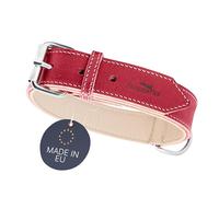 FREUDENTIER® Amstelpark Collier pour Chien en Cuir Pleine Fleur doublé et Confortable Rouge épicé Tour de Cou 47-57 cm
