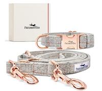 FREUDENTIER® Collier et Laisse pour Chien dans Un Ensemble élégant | avec boîte Cadeau | Résistant à l'hiver & Facile d'entretien (37-58cm)