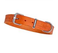 FREUDENTIER Collier pour chien - Collection Alsterufer - Collier en cuir pour chiens de petite, moyenne et grande taille - En cuir gras certifié - Fabriqué à la main en Europe - Orange coucher de
