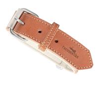 FREUDENTIER® Collier pour Chien en Cuir certifié, fabriqué en Hollande, doublé et Super Confortable, Large Collier en Cuir de qualité supérieure, Collection Amstelpark (27,5-38 cm, Cognac)