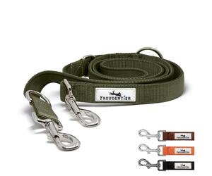 FREUDENTIER Laisse pour chien 2 m - Laisse réglable pour chien - Laisse robuste pour chiens de taille moyenne et grande taille réfléchissante - Modèle Clyde (vert, longueur 2 m / largeur 20 mm)
