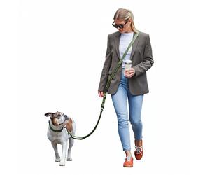 FREUDENTIER Laisse pour chien - 3 m à porter autour du cou - Réglable en continu - Laisse pour chiens de petite, moyenne et grande taille - Vert olive - 3 m