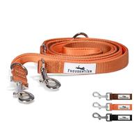 FREUDENTIER Laisse pour chien de 2 m - Réglable - Rembourrée et douce - Agréable à tenir - Laisse robuste pour chiens de taille moyenne et grande - Modèle Clyde (orange, longueur 2 m / largeur 25 mm)